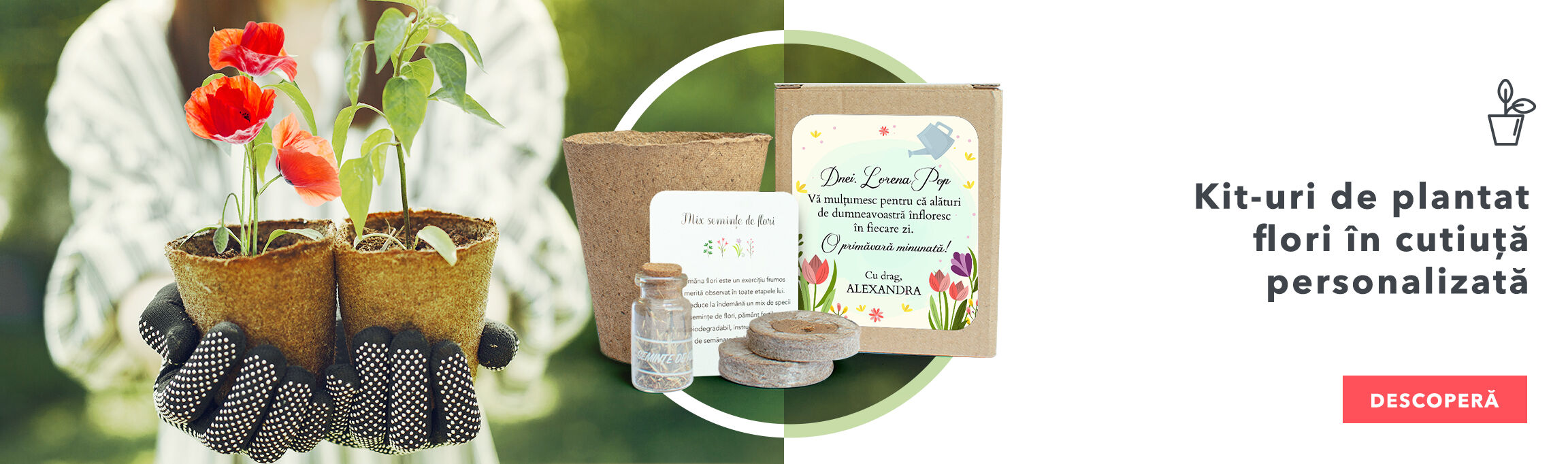 Kit-uri de plantat flori în cutiuță personalizată