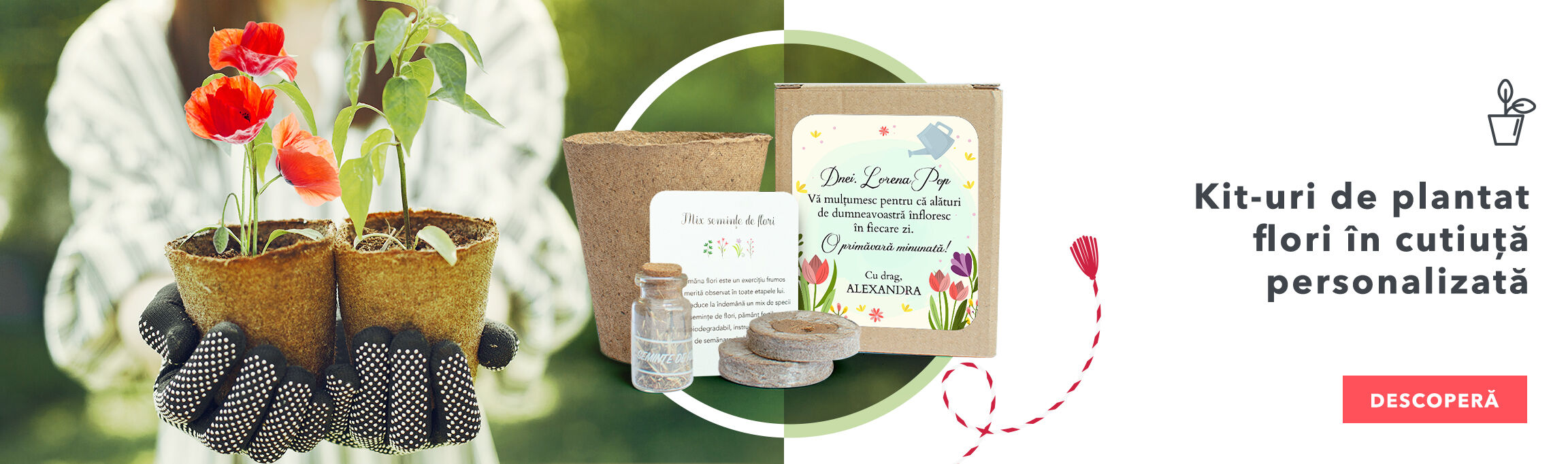 Kit-uri de plantat flori în cutiuță personalizată