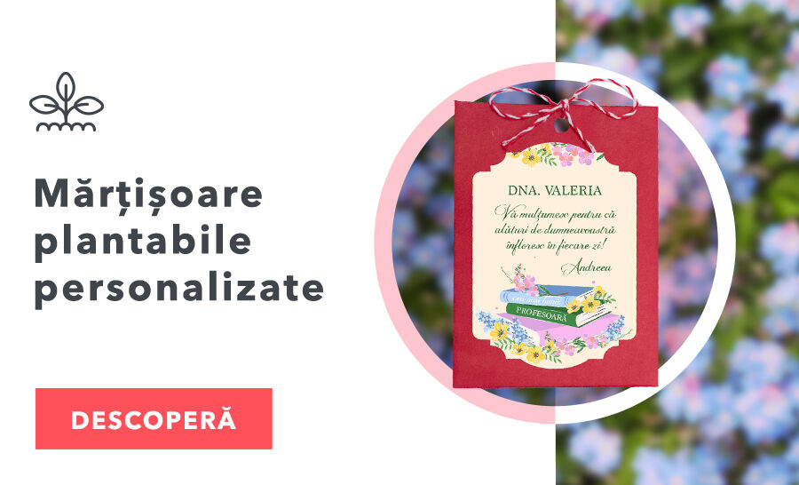 Mărțișoare plantabile