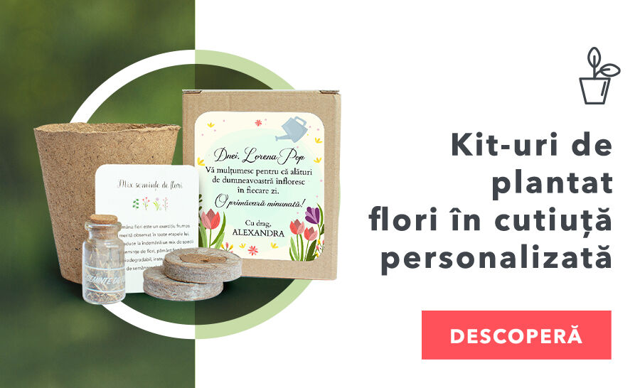 Kit-uri de plantat flori în cutiuță personalizată