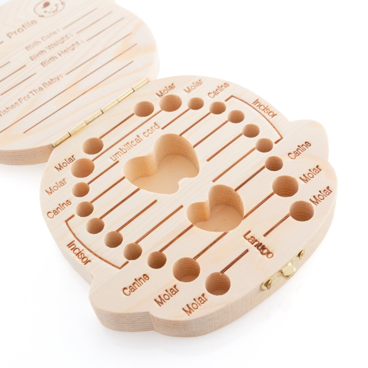 Cutie pentru primii dințișori - model fetiță