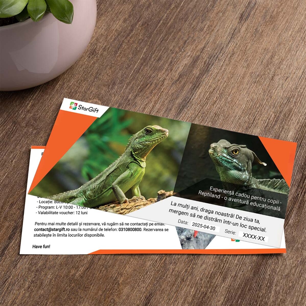 Experiență cadou pentru copii - Reptiland - o aventură educațională