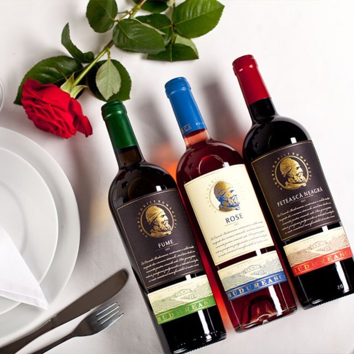 Experiență premium cadou  - Degustare de vin în 2 și turul cramei Budureasca