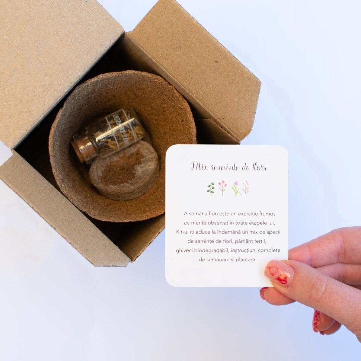 Kit de plantat flori de primăvară în cutiuță personalizată cu mesaj pentru educatoare