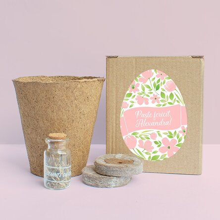 Kit de plantat flori în cutiuță personalizată cu text - Paște fericit!