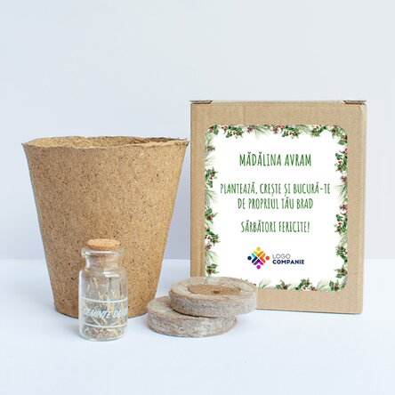 Kit de plantat semințe de brad în cutiuță personalizată cu logo și mesaj -  Crenguțe