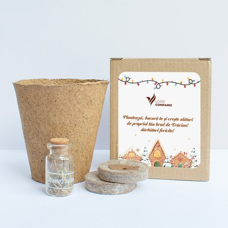 Kit de plantat semințe de brad în cutiuță personalizată cu logo și mesaj - Sărbători