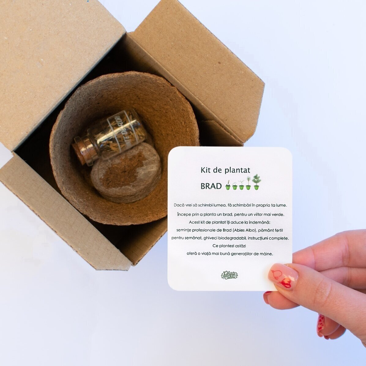 Kit de plantat semințe de brad în cutiuță personalizată cu poză și mesaj - De la Moș Crăciun