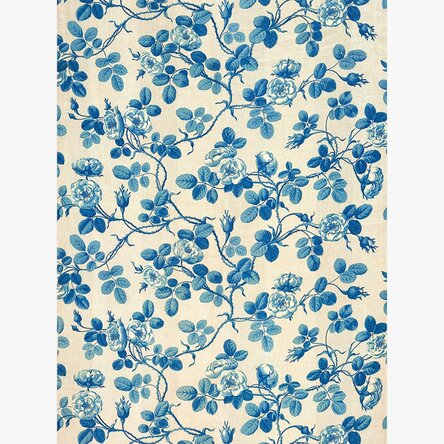 Poster Plante albastre