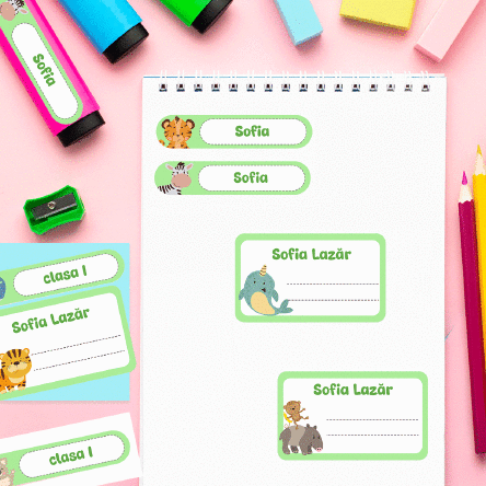 Set 14 stickere personalizate pentru școală, pentru caiete și rechizite