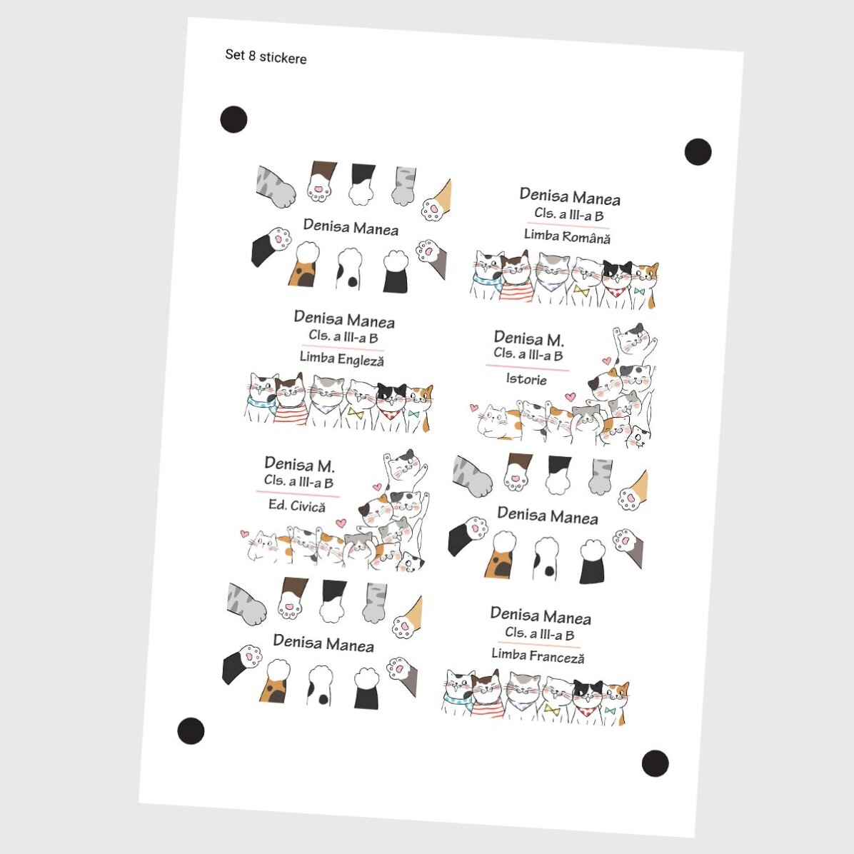 Set de 8 stickere (etichetă autoadezivă) personalizate pentru școală - Kitty