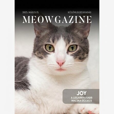 Személyre szabott poszter fotóval és szöveggel - Meowgazine