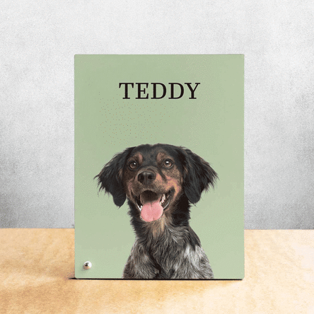 Personalised desk photo frame with your pet